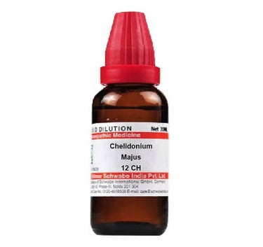 https://cdn.shopify.com/s/files/1/1857/6931/products/qtHpuZMfMB.jpg?v=1641294164